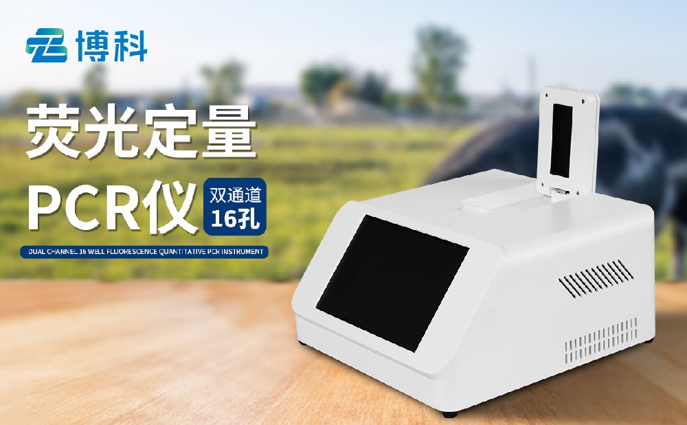 ˫ͨ���������������