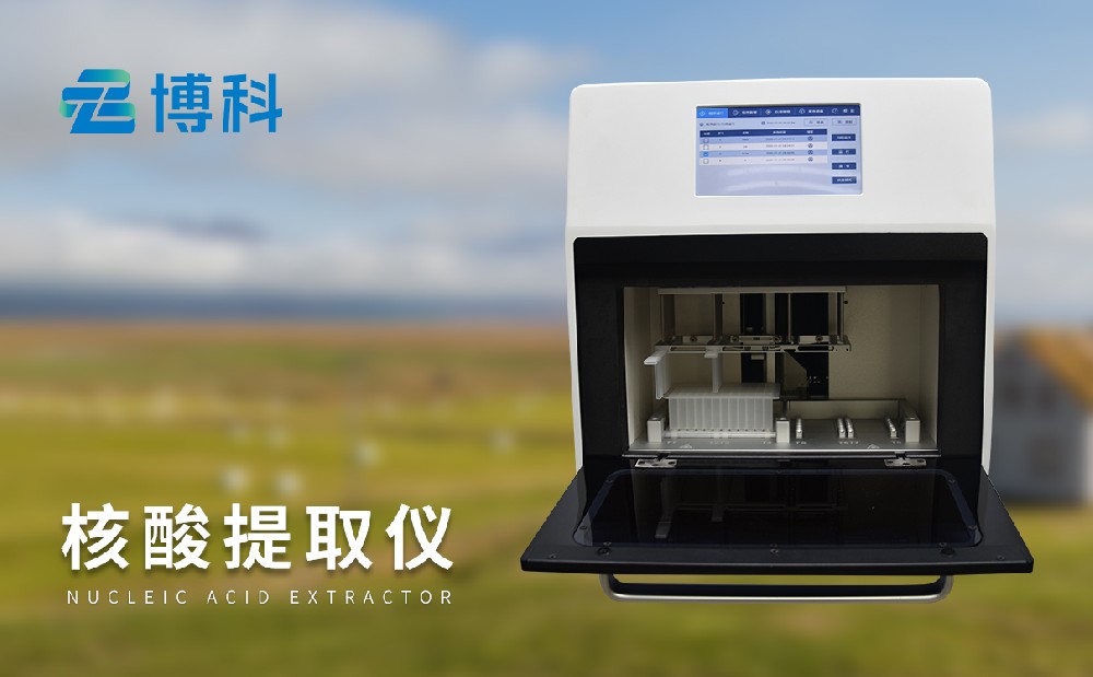 ������ȡ��