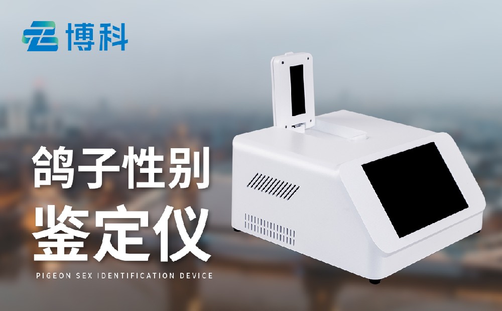 �����Ա�����