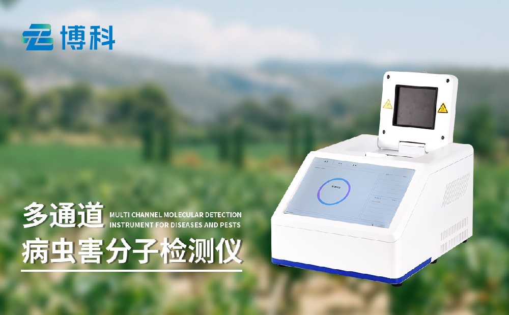 ���溦���Ӽ����