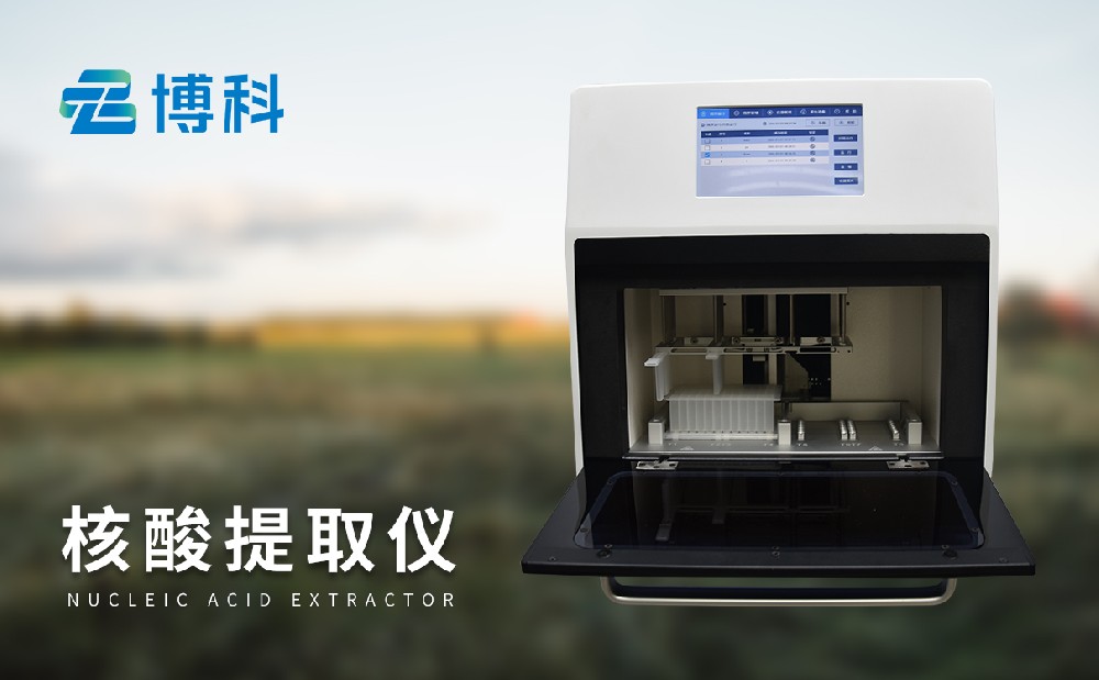 ������ȡ��