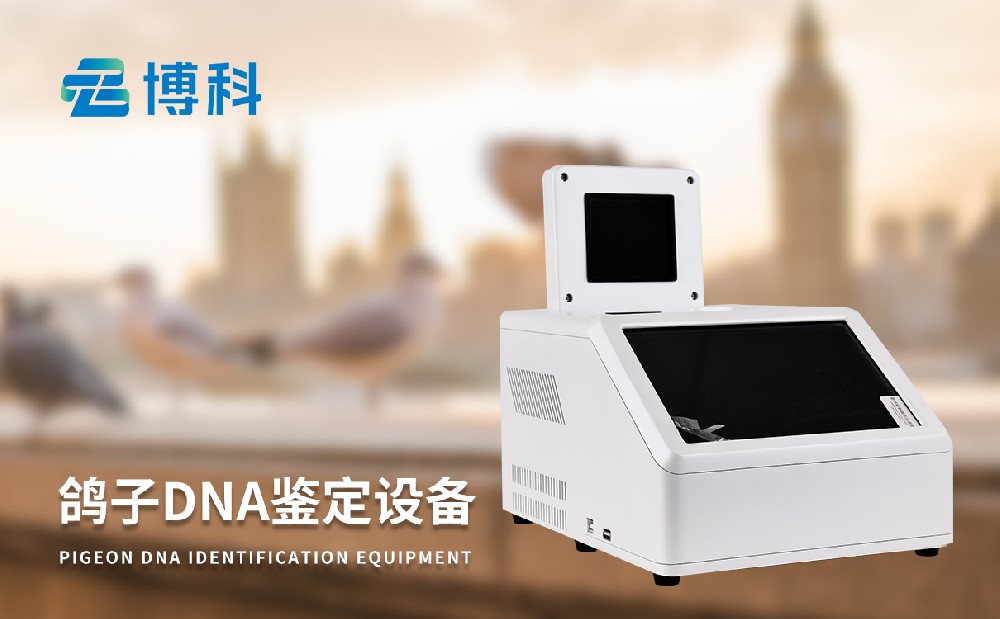 �����������������