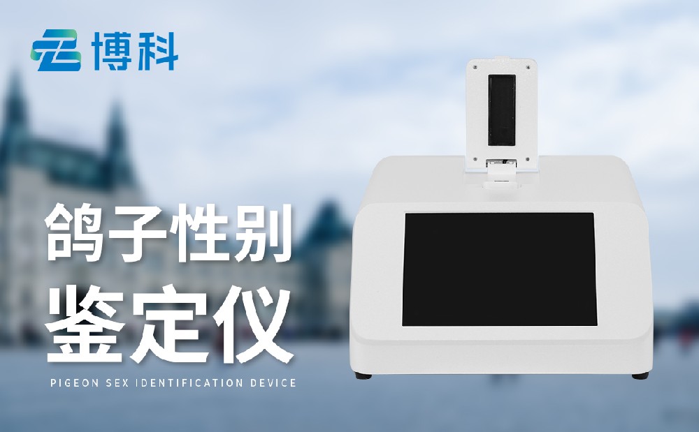 �����Ա������